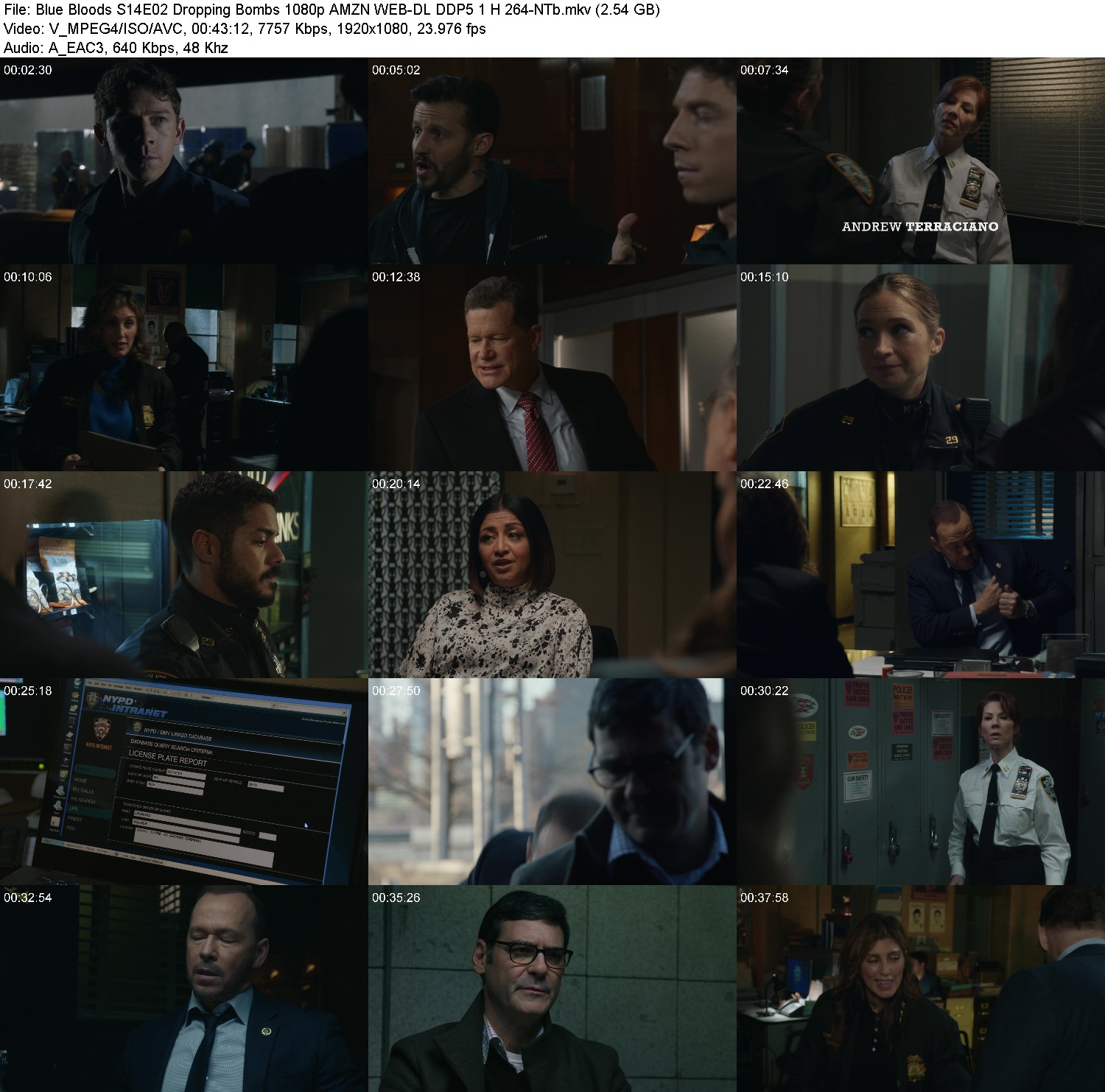 [Image: v9uca1st3g9g.jpg]