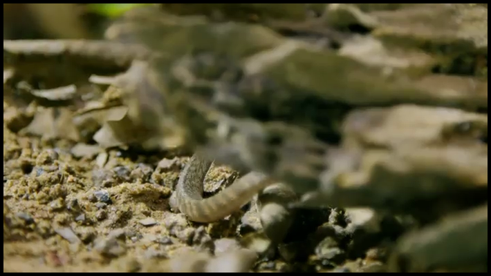 [Image: lqg3az2t50mm.png]