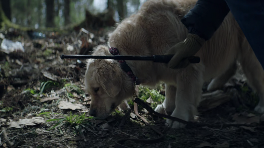 [Image: 5ywr15mii0hs.png]