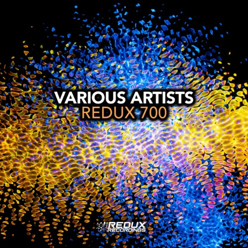 VA - Redux 700 Celebration (2026)