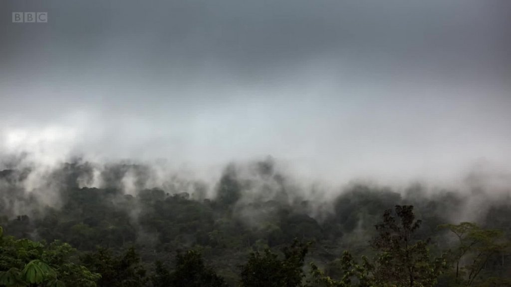 [Image: 5bc0qjncw6x9.jpg]