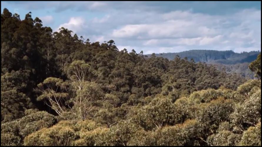 [Image: s8zq64pqs4xk.png]