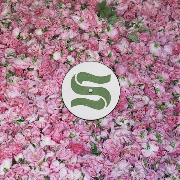 [Image: 75ibgqiy9i0o.jpg]