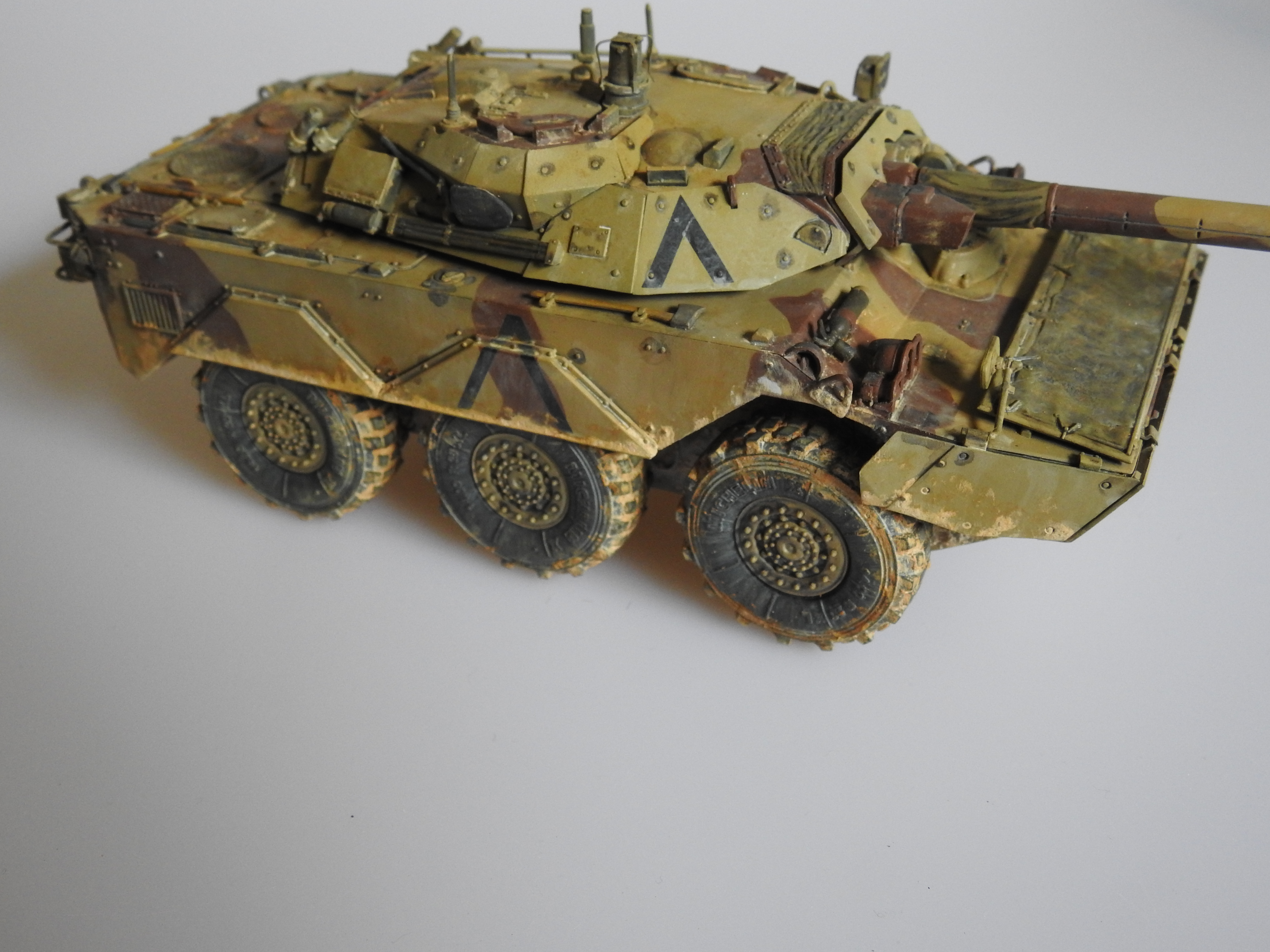 AMX-10RC 1/35 Tiger models – klar DSCN7377