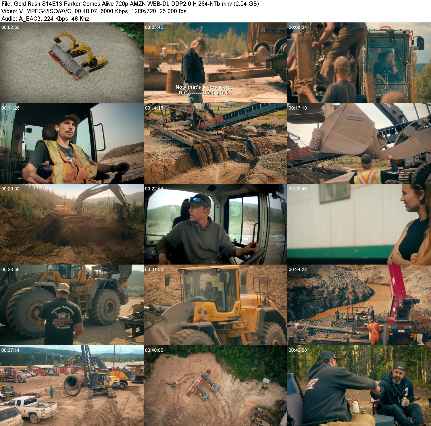 [Image: pmq3k82vo9sj.jpg]