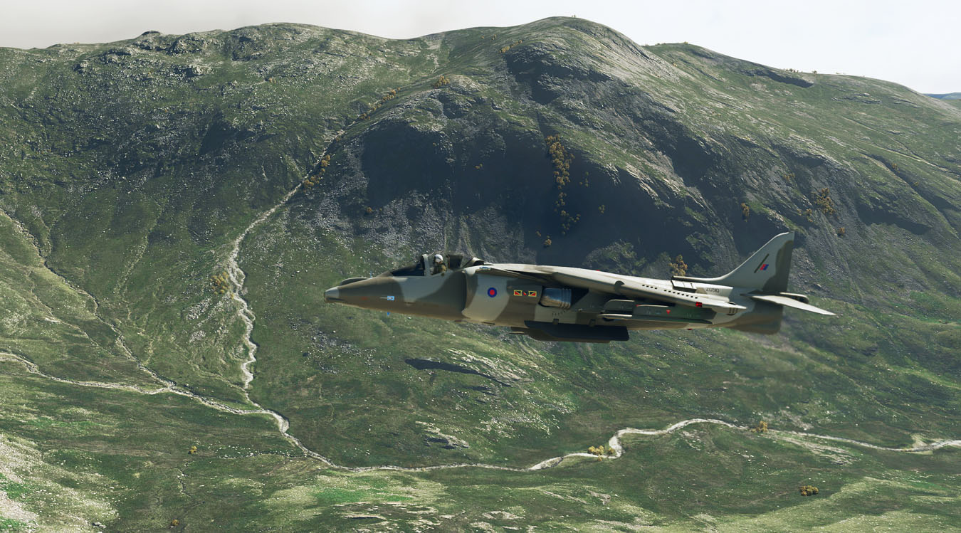 Harrier-Scotland-02-1350.jpg?dl=1