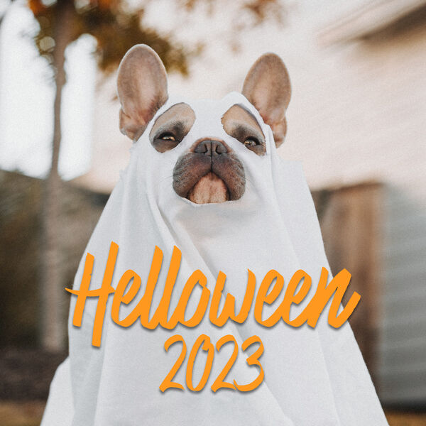 Various Artists. Helloween 2023 (2023) Mp3 [320kbps]  1pjj6m0c7aez