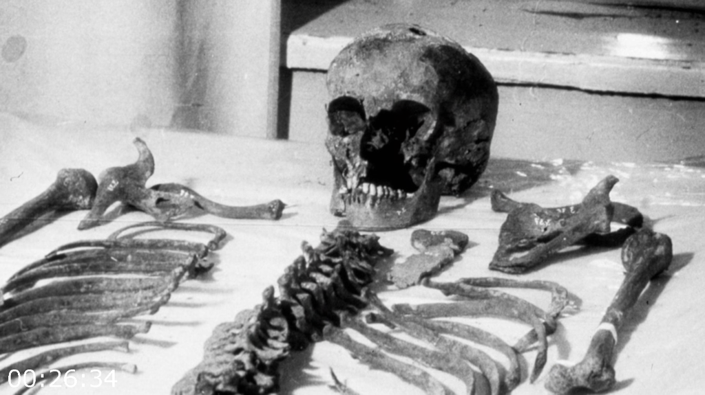 [Image: ko9j1qvht0d7.png]