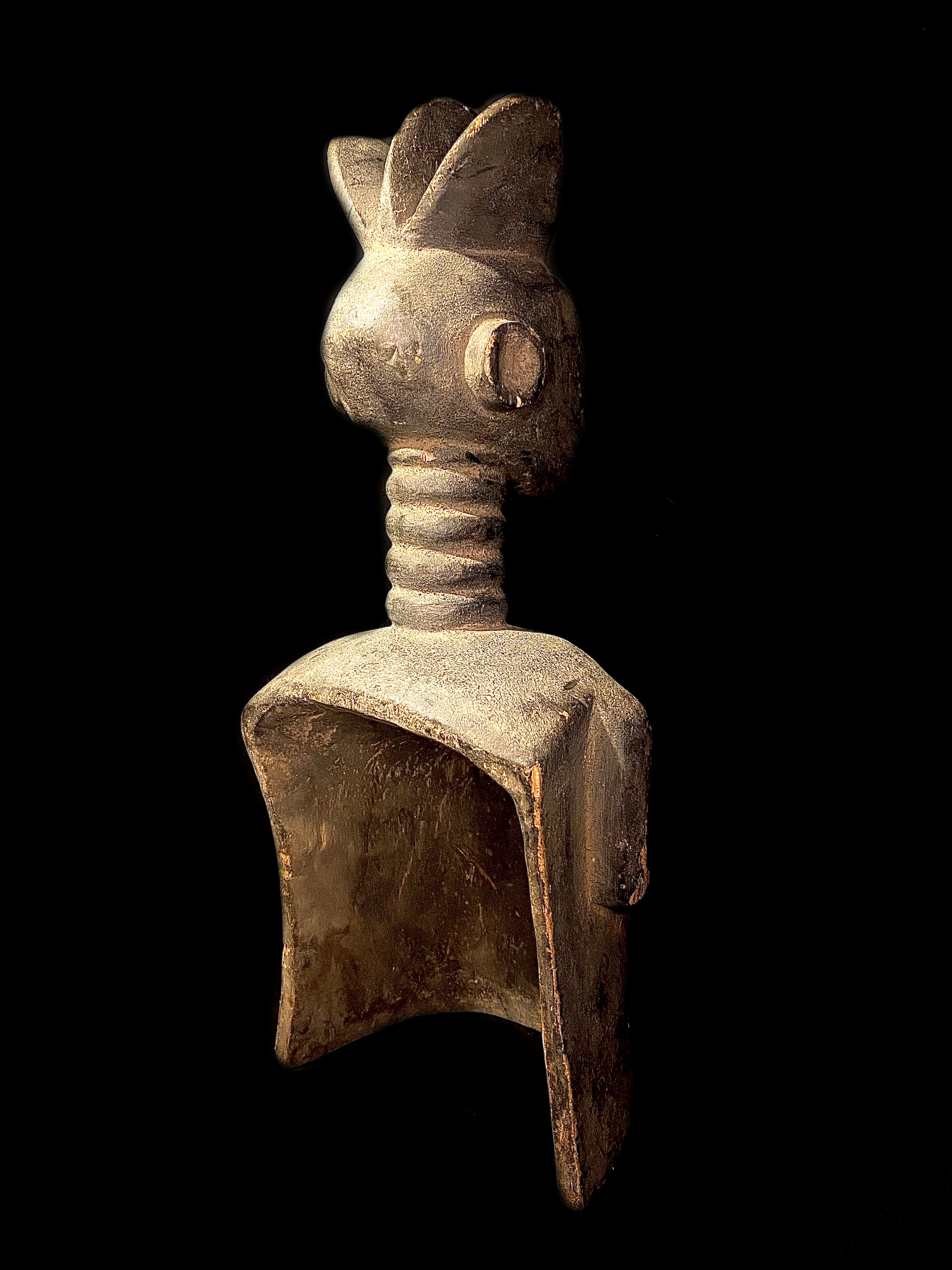 large image 4