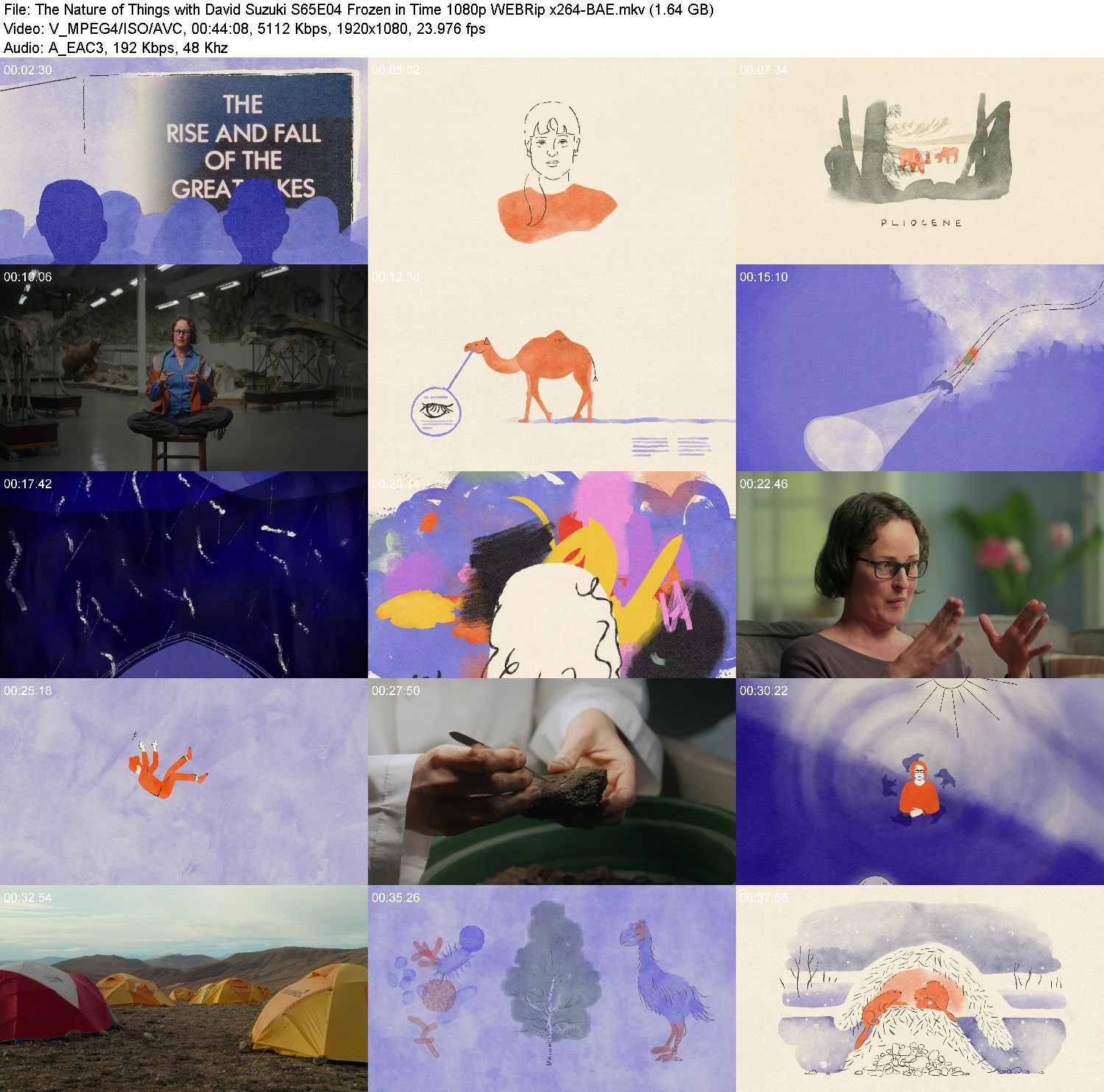 [Image: 0gd6axo5is7x.jpg]