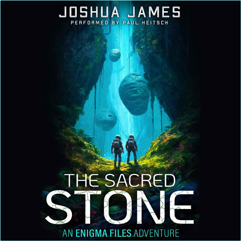 Joshua James ENIGMA Files 2 The Sacred Stone Sci Fi – (David Hagberg)