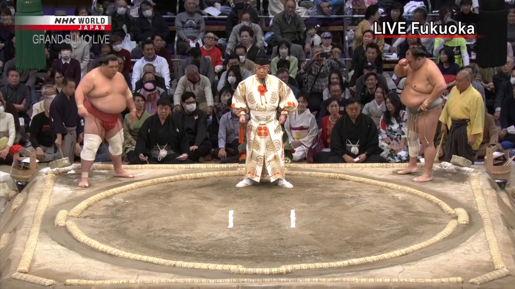 [Image: jd34u5pb9pcl.png]