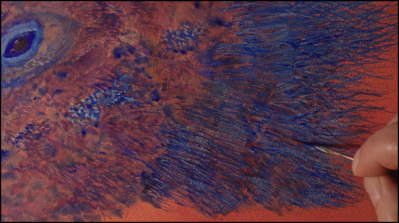 [Image: z1bx2ife40hu.png]