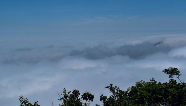 В джазе только девушки или аргентинско-бразильский калейдоскоп В джазе только девушки или аргентинско-бразильский калейдоскоп