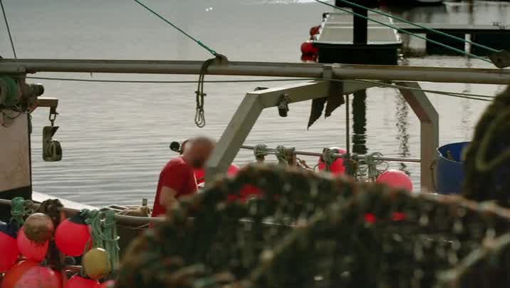 [Image: 11vmocqk3hu5.jpg]