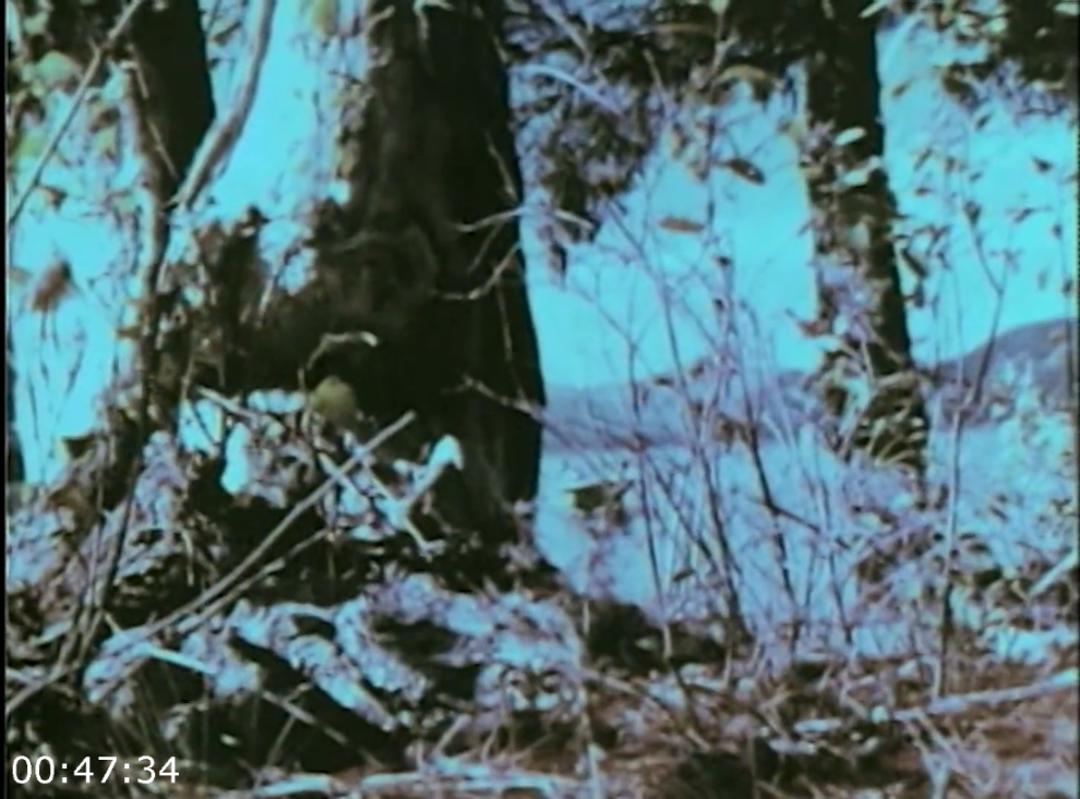 0a8ov35erdfv.png