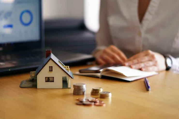 Opportunities for Investors