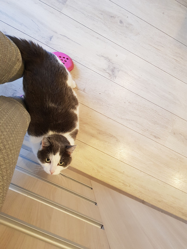 20190523-193253.jpg