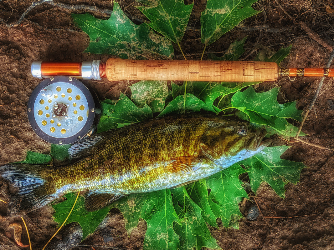 IMG_20200604_192935-01-03