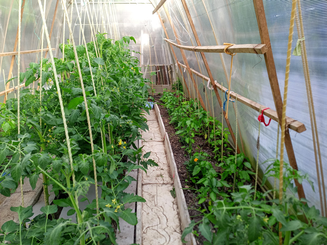 IMG_20250602_183000_392