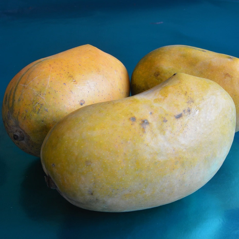 Mango-Chausna-Ratewala-PK-DSC_0554-cr-sq-25
