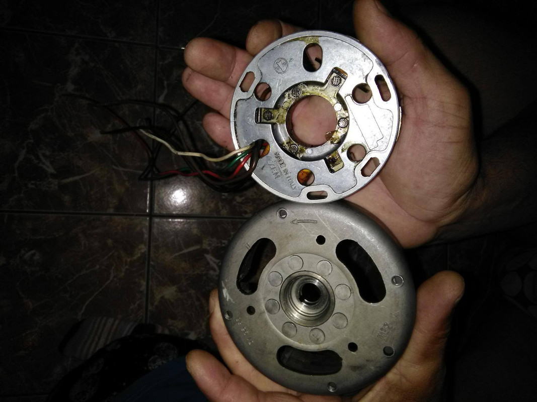 60124634_658711834594051_9004746965853929472_n (1)