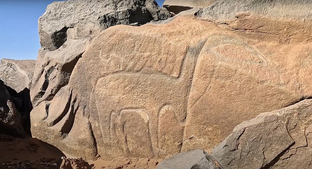 Esmara, un espejismo en el desierto - El Sahara Occidental (35)