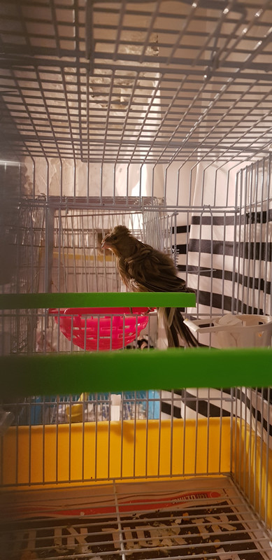 ٢?١٨١١١٦_?٨??٢٧