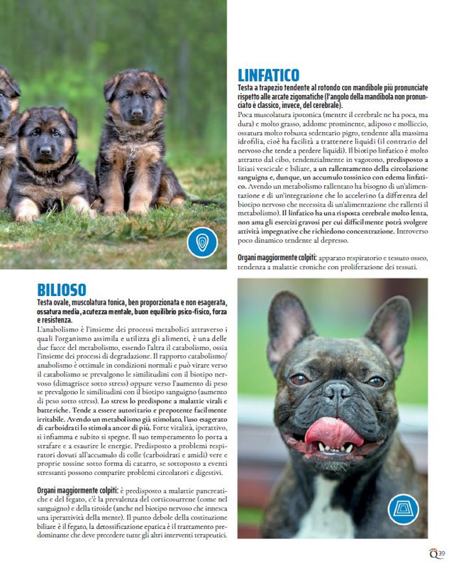 QuattroZampe Nov 2021 (2)