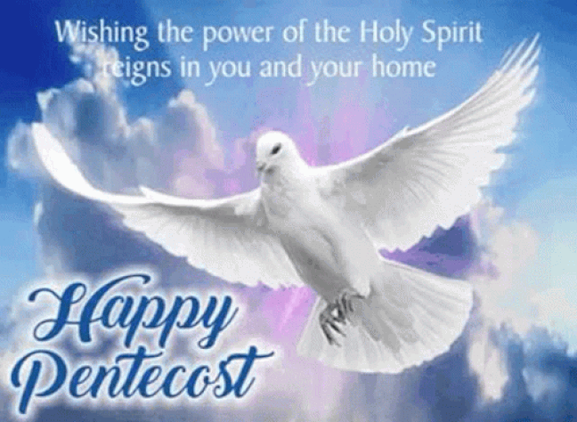 An den Beitrag angehängtes Bild: https://i.postimg.cc/N01RcLqM/oie-1972520-IYu-Xns-M3.gif