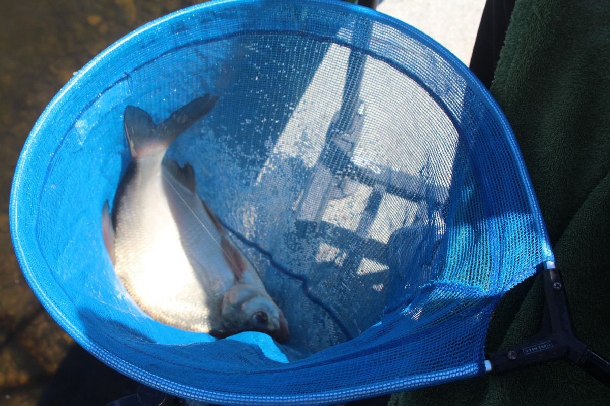 IMG_8953_новый размер