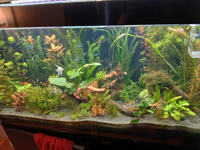 Bac dans son ensemble