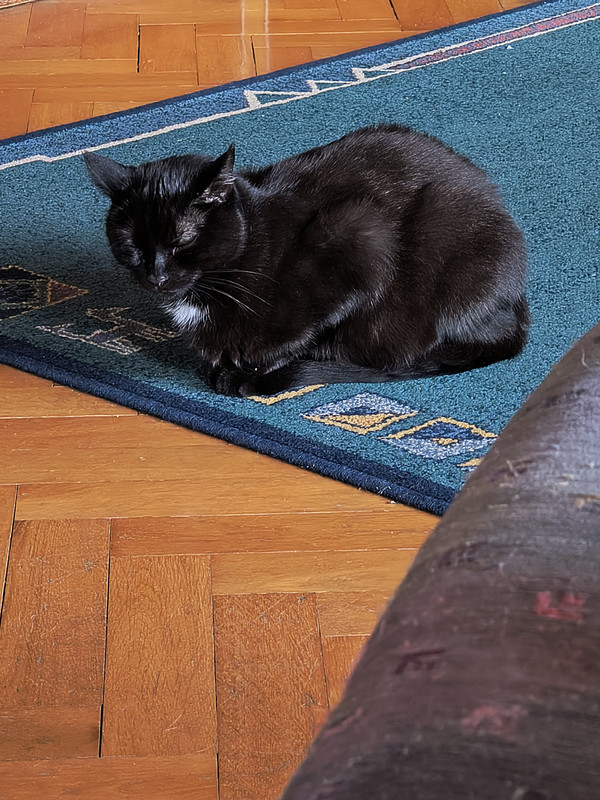 IMG 20260917 135150206 HDR