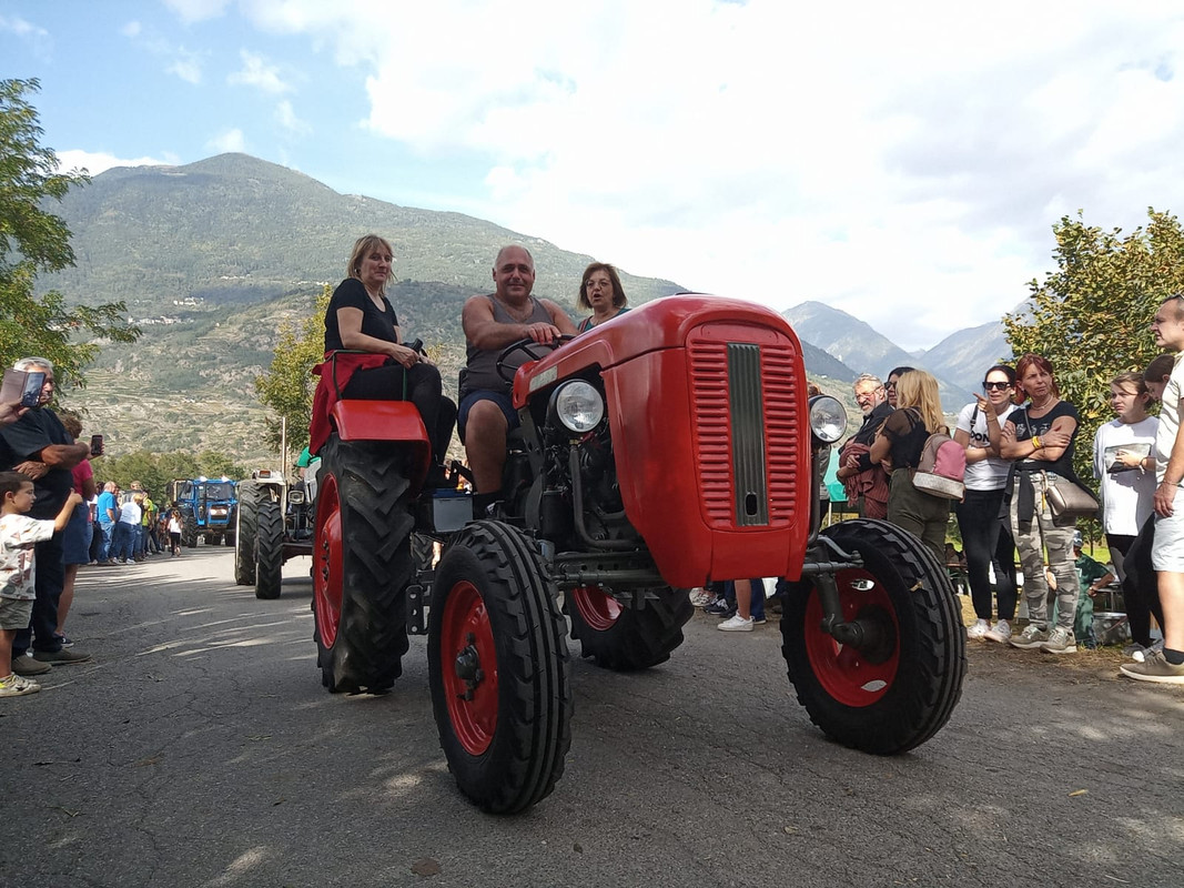 Scargaamuut 2023 (22)