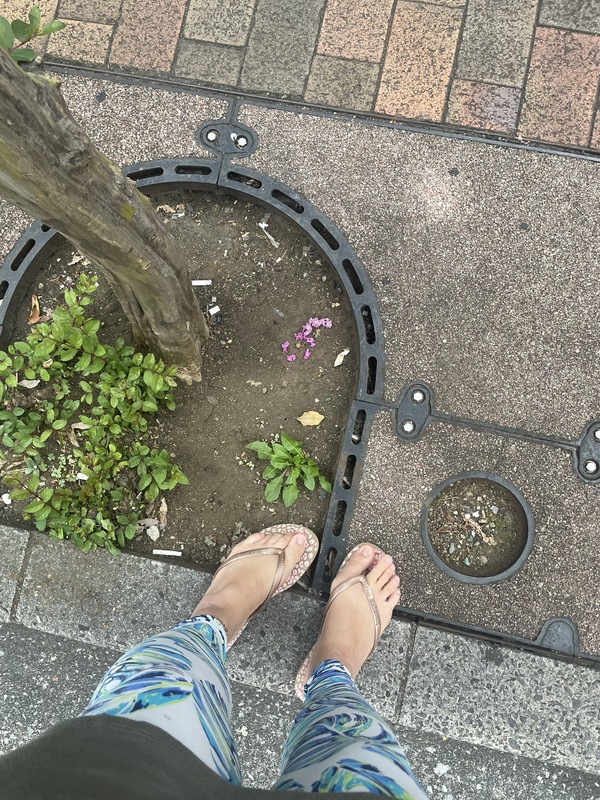 今日の目標は5万！！小さい幸せを見つけて歩く大人達平和やぁいや…葉っぱなにがしたかったん笑私は案外浮 (1)