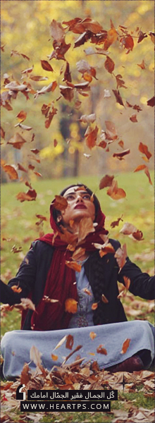 ���� ���� ������ �� ���� ������