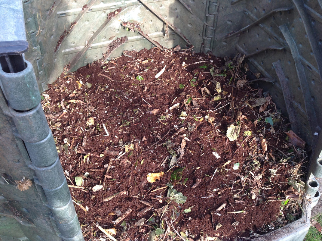 Schnellkomposter für den Alltag 3. Okt.2015 (6)