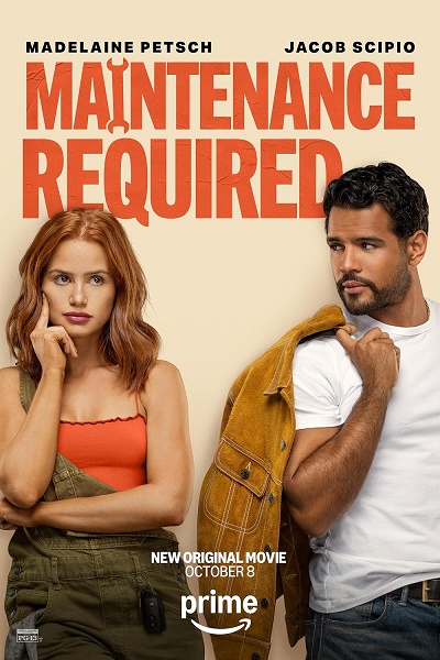 Nutný servis / Maintenance Required (2025)