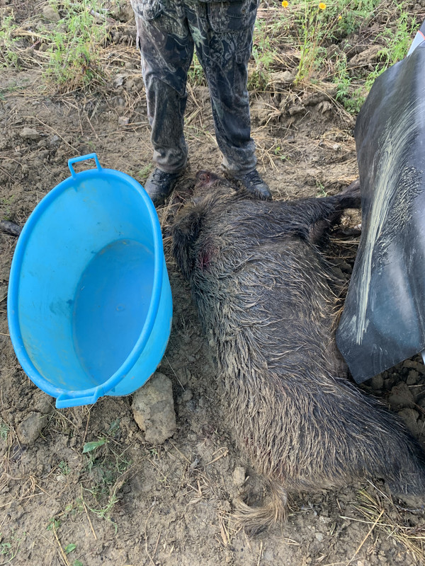 82E9B718-6922-4611-8F7A-4E077AE0D745