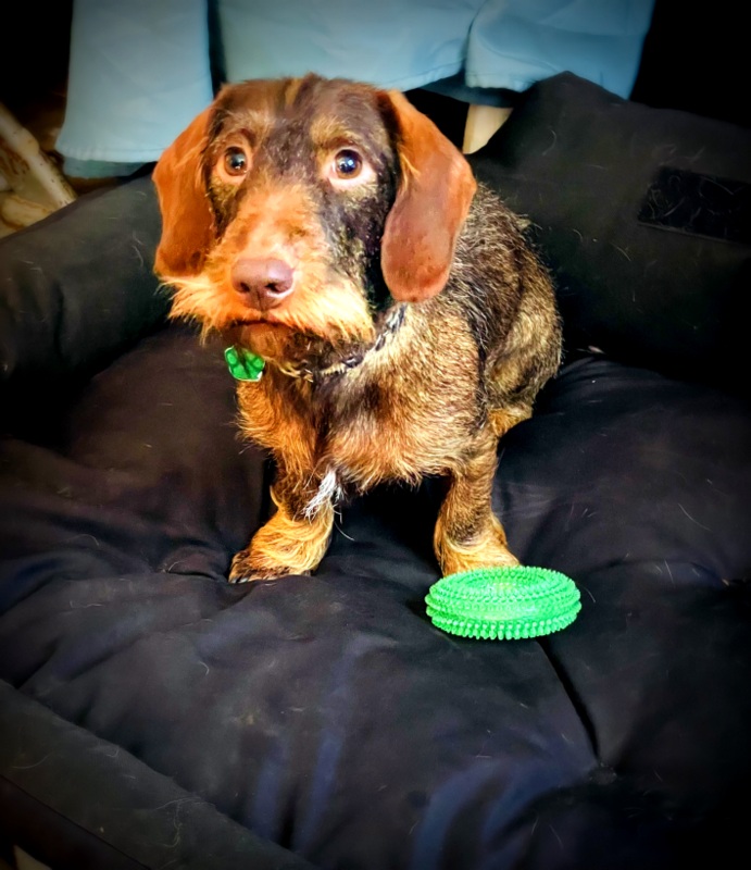 [Image: IMG-2576.jpg]