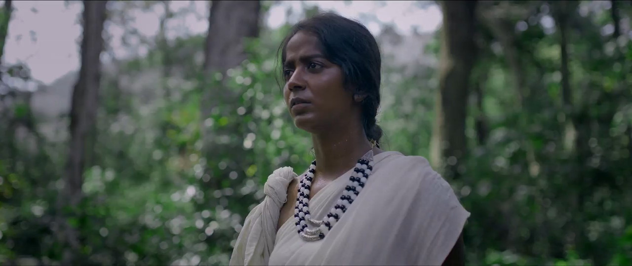 Gajaana 2025 WebRip [Hindi + Tamil] 480p, 720p ESub Screenshot
