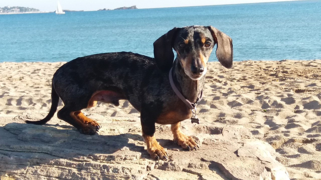 [Image: 20210106-135342.jpg]