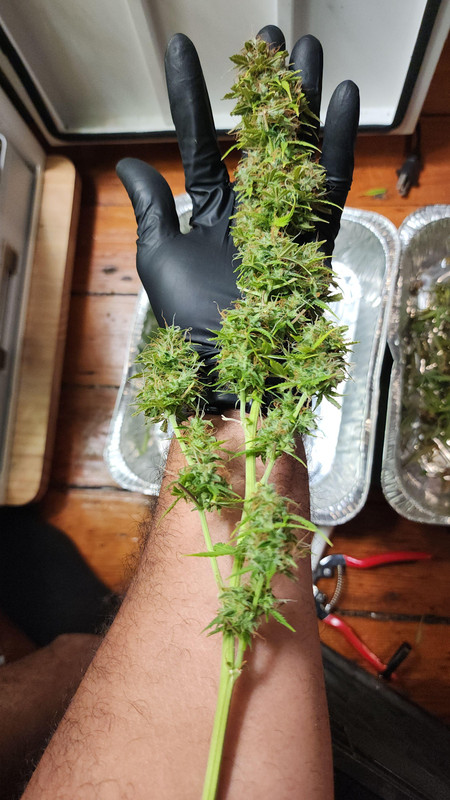 signal-2025-05-27-14-36-21-538