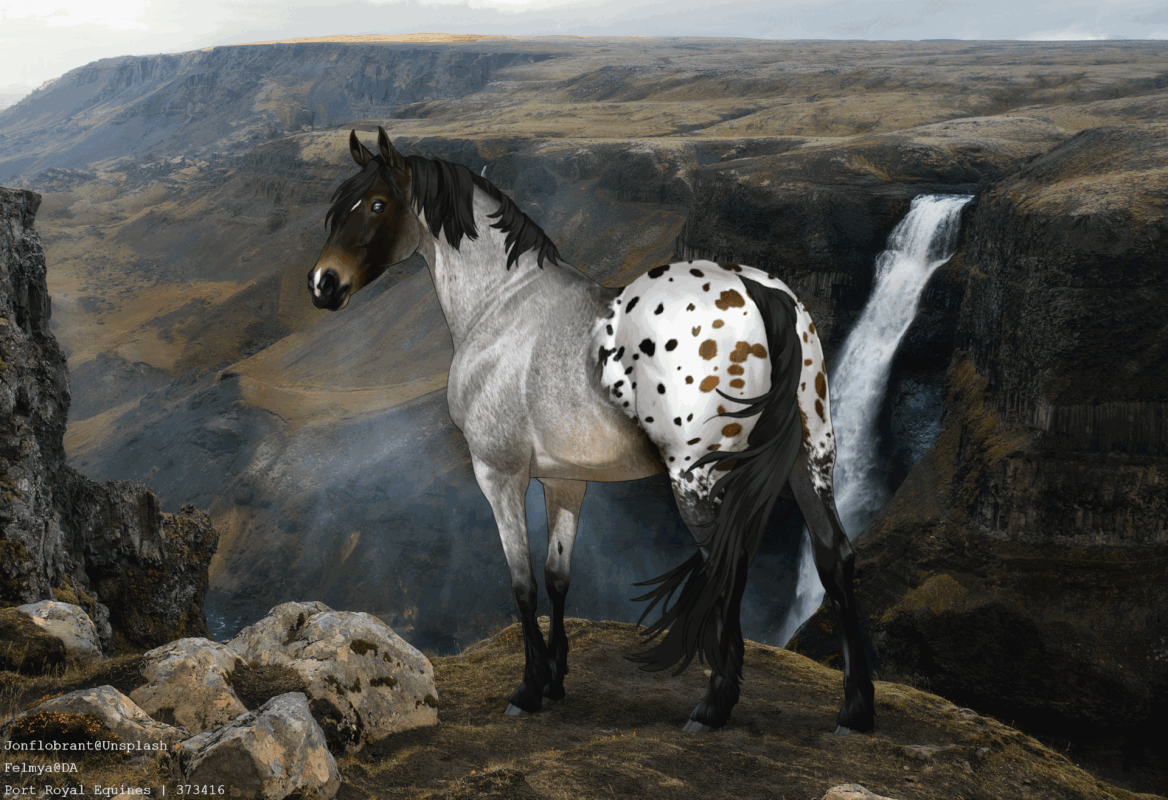 ezgif.com-animated-gif-maker_(4).gif