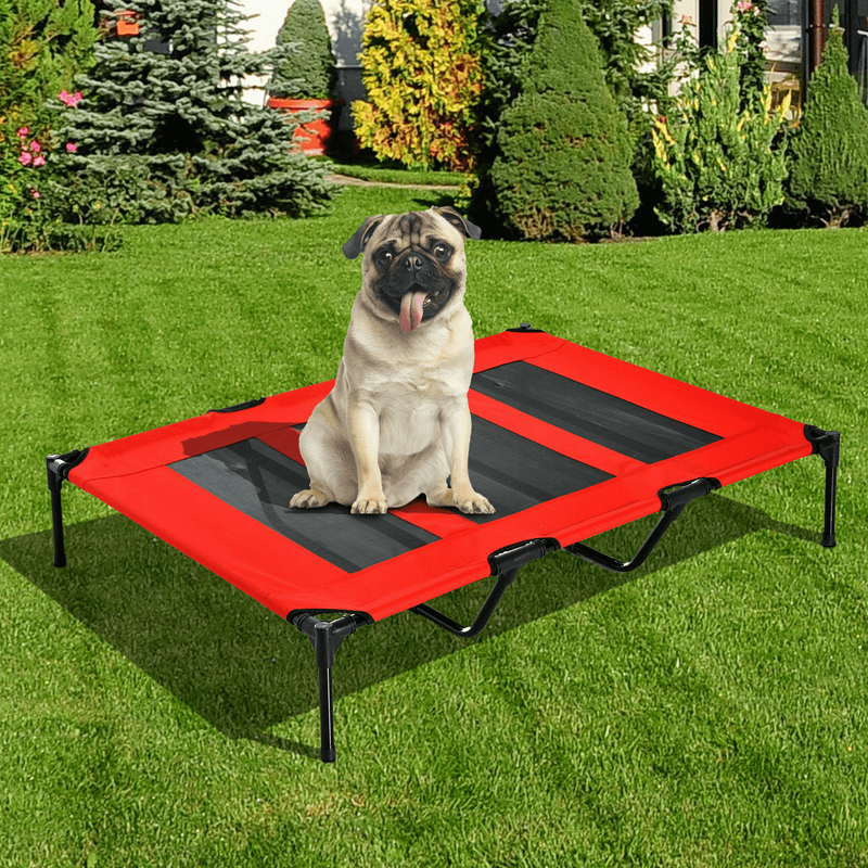 raised dog bed