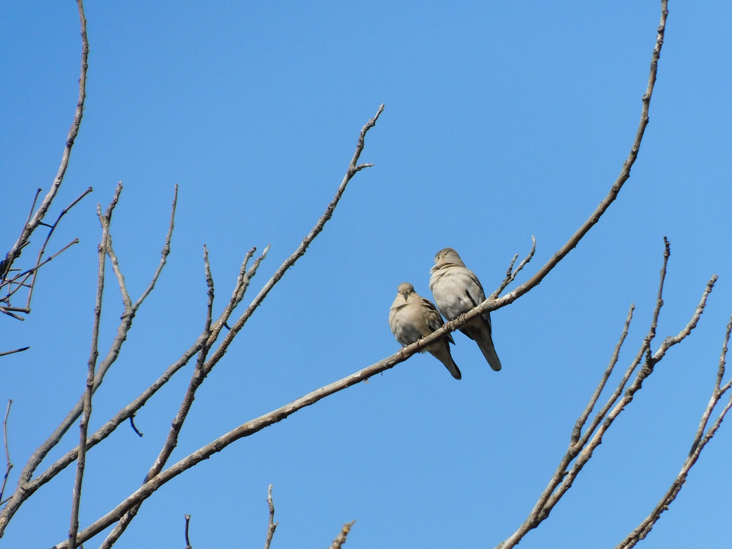 DSCN0496.jpg
