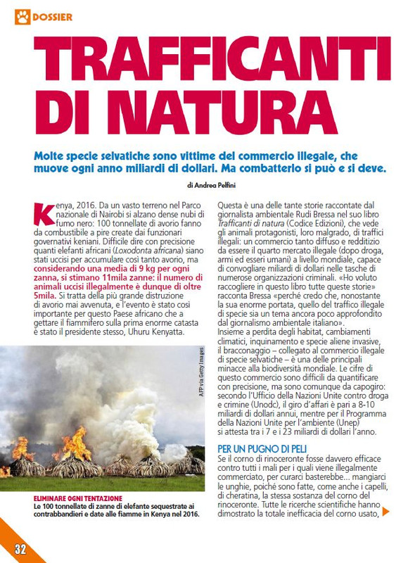 Foc Wil - Mar 2024 (7)