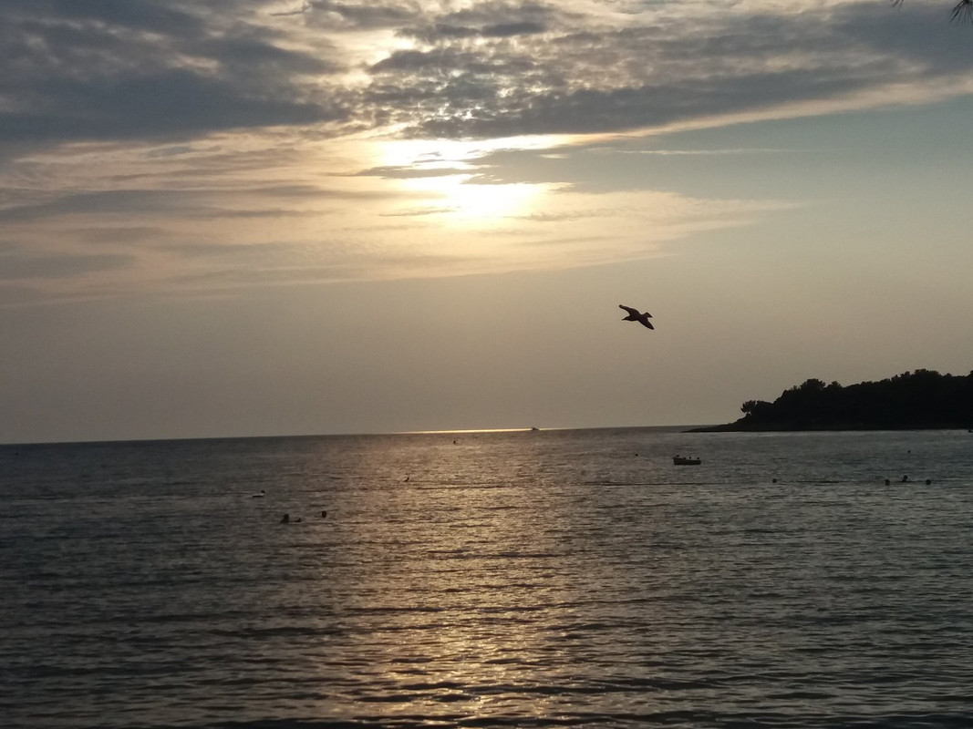 received_917309493449100