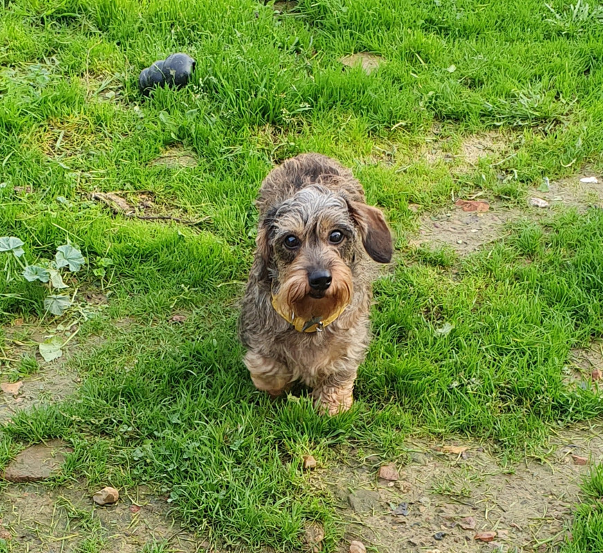 [Image: 20221030-063305.jpg]