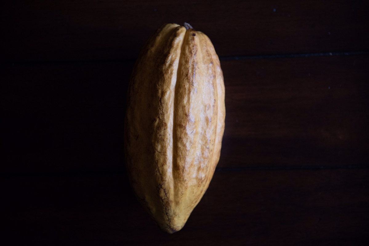 55C8B1D6-7DA5-482B-8AF7-BC8468EEA33A